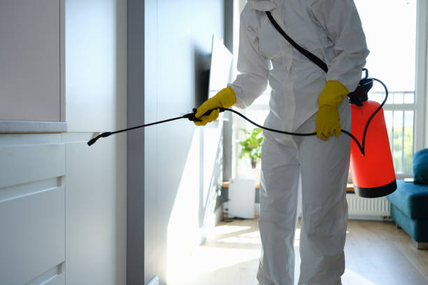 Best Residential Mold Remediation in Central Park, WA