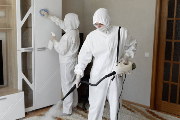 Best Commercial Mold Remediation in Central Park, WA