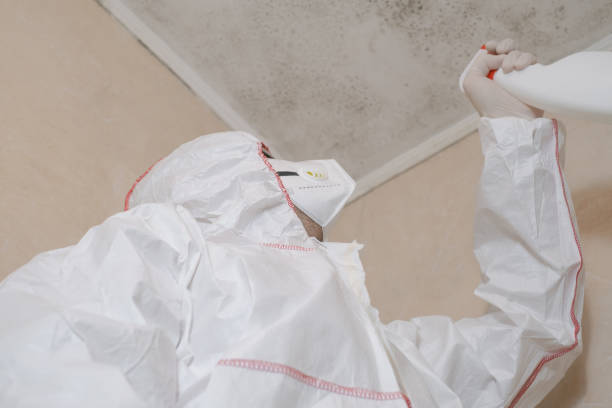 Best Industrial Mold Remediation in Central Park, WA